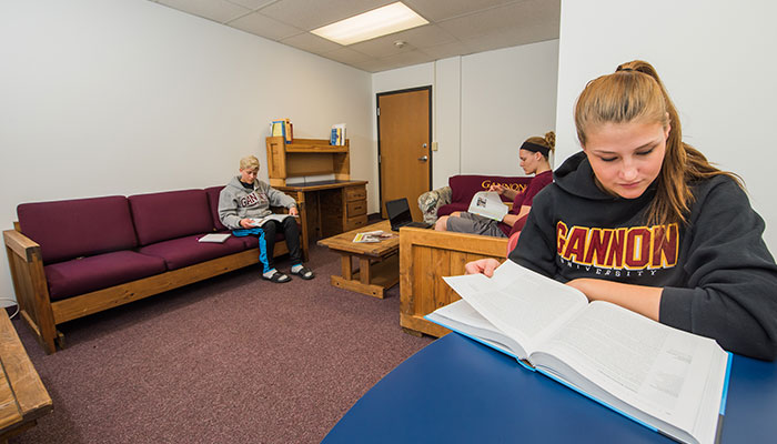 Campus de Gannon University